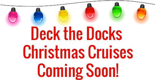 Deck Docks Christmas Cruise Coming Soon - Saved! Backing Up With Easeus Todo By Leo A Notenboom (500x300), Png Download