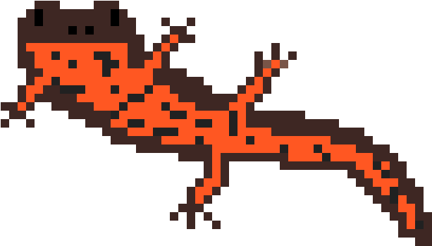 Newt - Oriental Fire-bellied Toad (1200x1200), Png Download