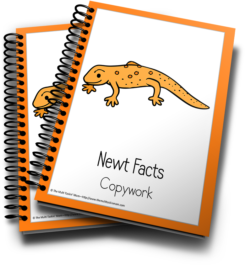 Newt Color And Copywork - Caderno Universitáiro Capa Dura Em Espiral Neymar 200 (900x983), Png Download