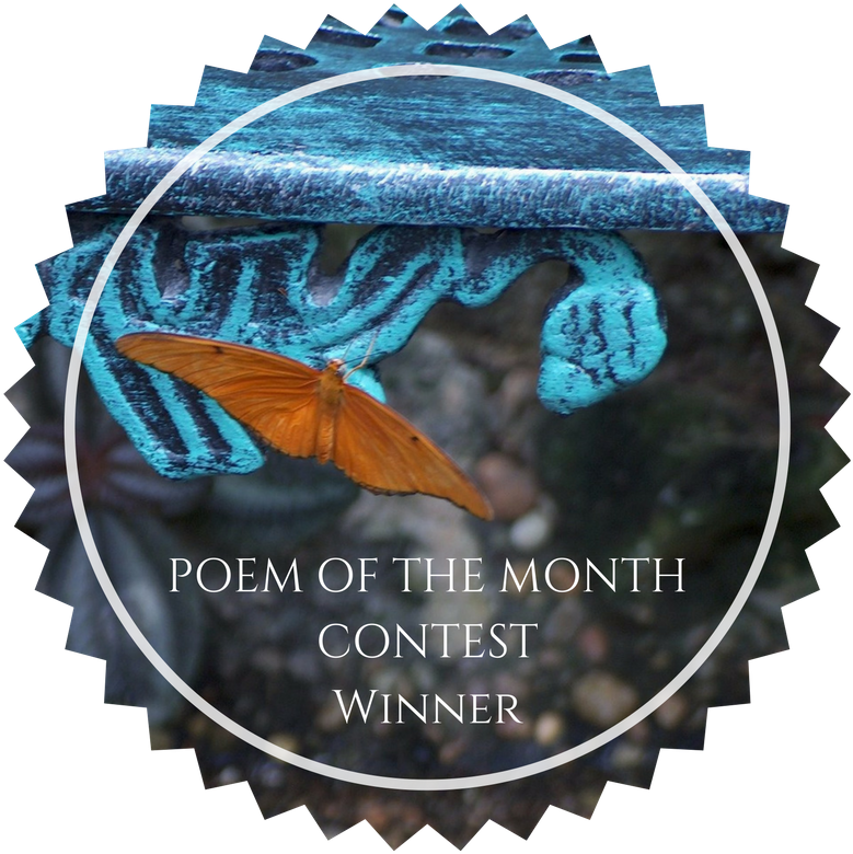 Every Month, Cosmographia Partners With Ninaalvarez - Ny State Mls Logo (800x800), Png Download