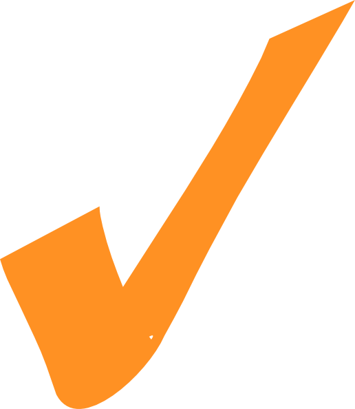 How To Set Use Orange Checkmark Icon Png - Check Mark And X Mark (516x594), Png Download