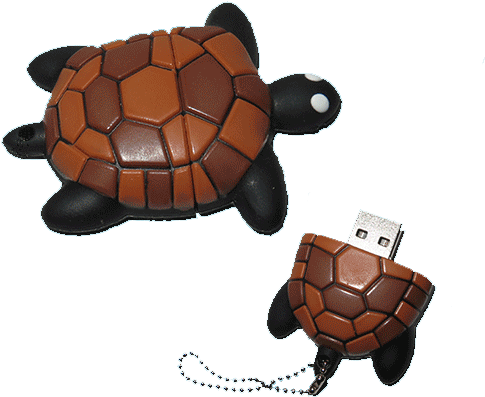 Athoyo's Usb Turtle Flash Drive 2gb - Desert Tortoise (500x500), Png Download