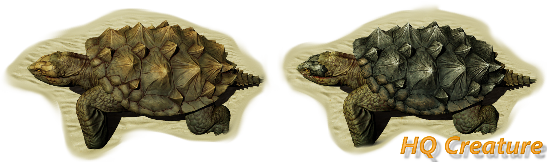 4 - Tortoise (1824x541), Png Download