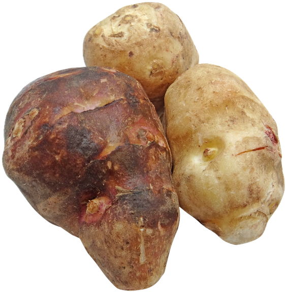 Plants Such As Fruits, Nuts, And Cereal Grains, But - Inulin By Christian Davis (720x720), Png Download