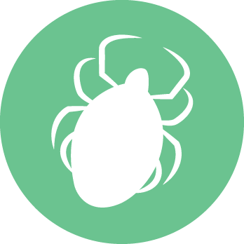 Lyme Disease - Freshdesk Icon (348x348), Png Download