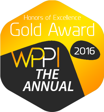 2017 - Agi Studio (362x396), Png Download