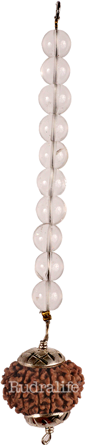 11 Mukhi Hanging - Chain (1000x1000), Png Download