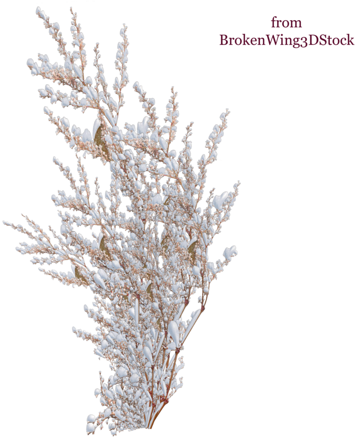 Picture Freeuse Branch Transparent Snow - Plants With Snow Png (894x894), Png Download