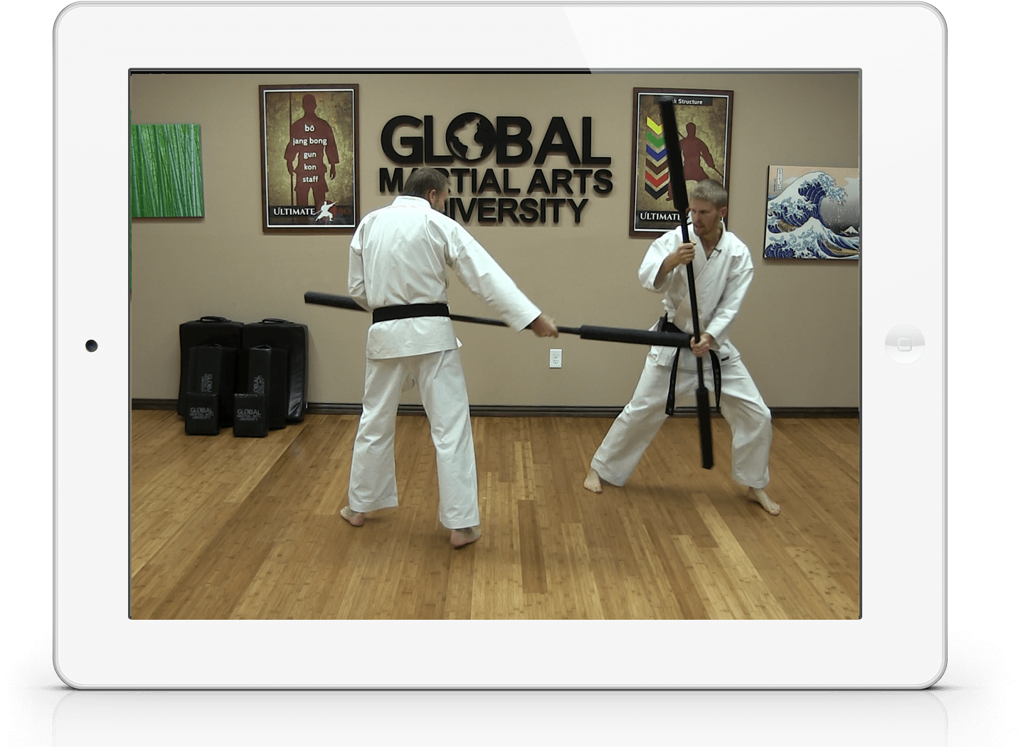 Includes A Complete White To Black Belt Level Course - Tardis V Katsushika Hokusai (1608x1163), Png Download