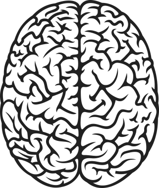 Drawn Brains Art Png - Cognitive Load Measurement And Application (321x379), Png Download