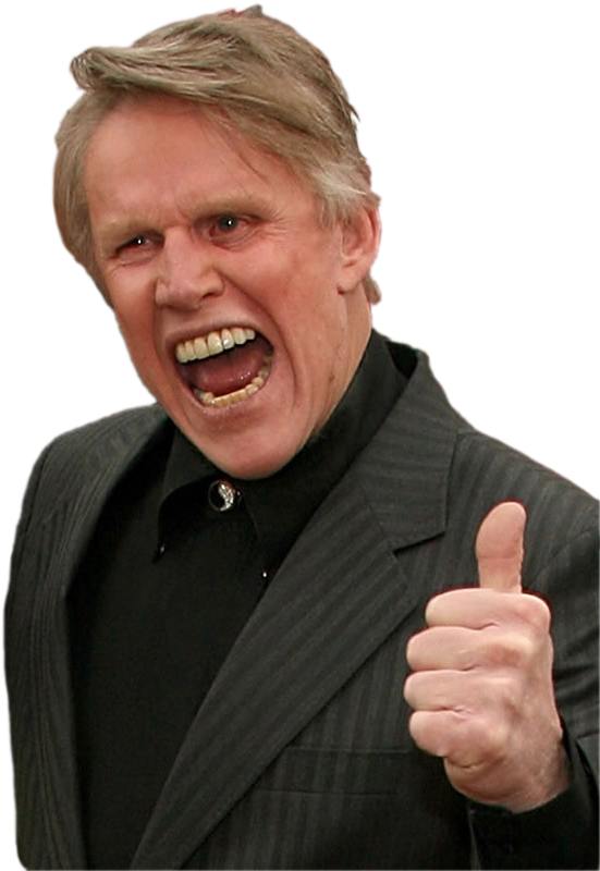 And - Gary Busey (560x800), Png Download