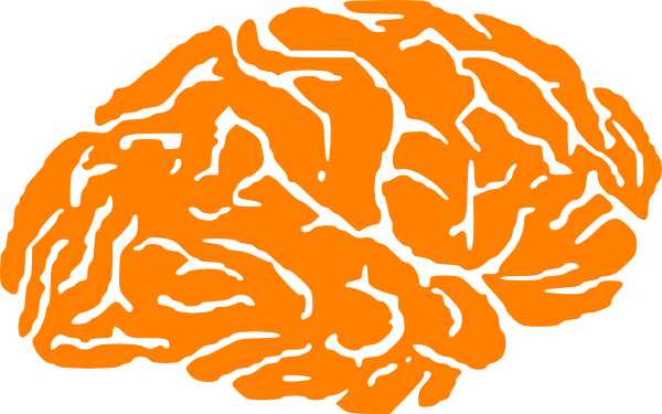 How To Set Use Orange Brain Logo Svg Vector - Orange Brain (600x375), Png Download