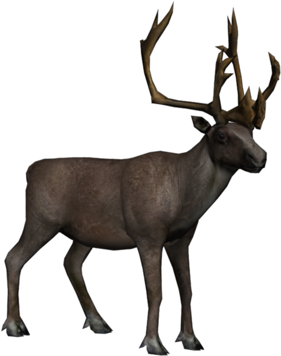 Caribou Transparent (1024x768), Png Download