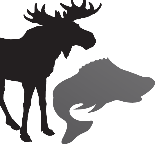 Leave - Bull Moose Moose Silhouette (534x496), Png Download