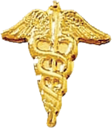 Medical Caduceus - J1 Style Name Tag Single Line With Attached Seal (370x422), Png Download