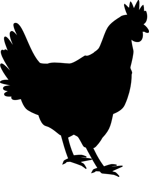 Black Chicken Png - Chicken Silhouette (504x598), Png Download