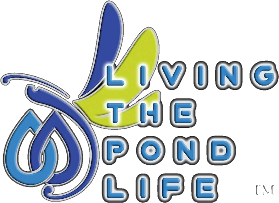 Florida Disappearing Pondless Waterfalls-orlando - The Pond Monster (1024x761), Png Download