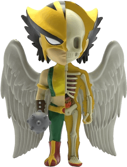 Hawkgirl Xxray By Jason Freeny Vinyl Figure - Dc Comics Xxray Figure Wave 5 Hawkgirl 10 Cm (600x600), Png Download