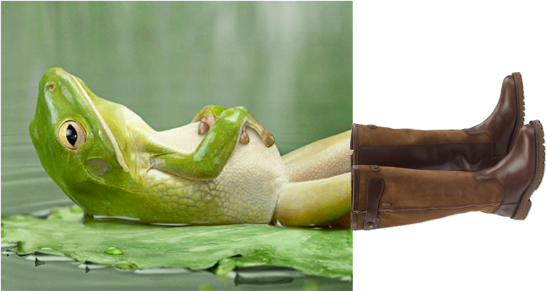 Image - Happy Hump Day Frogs (800x412), Png Download