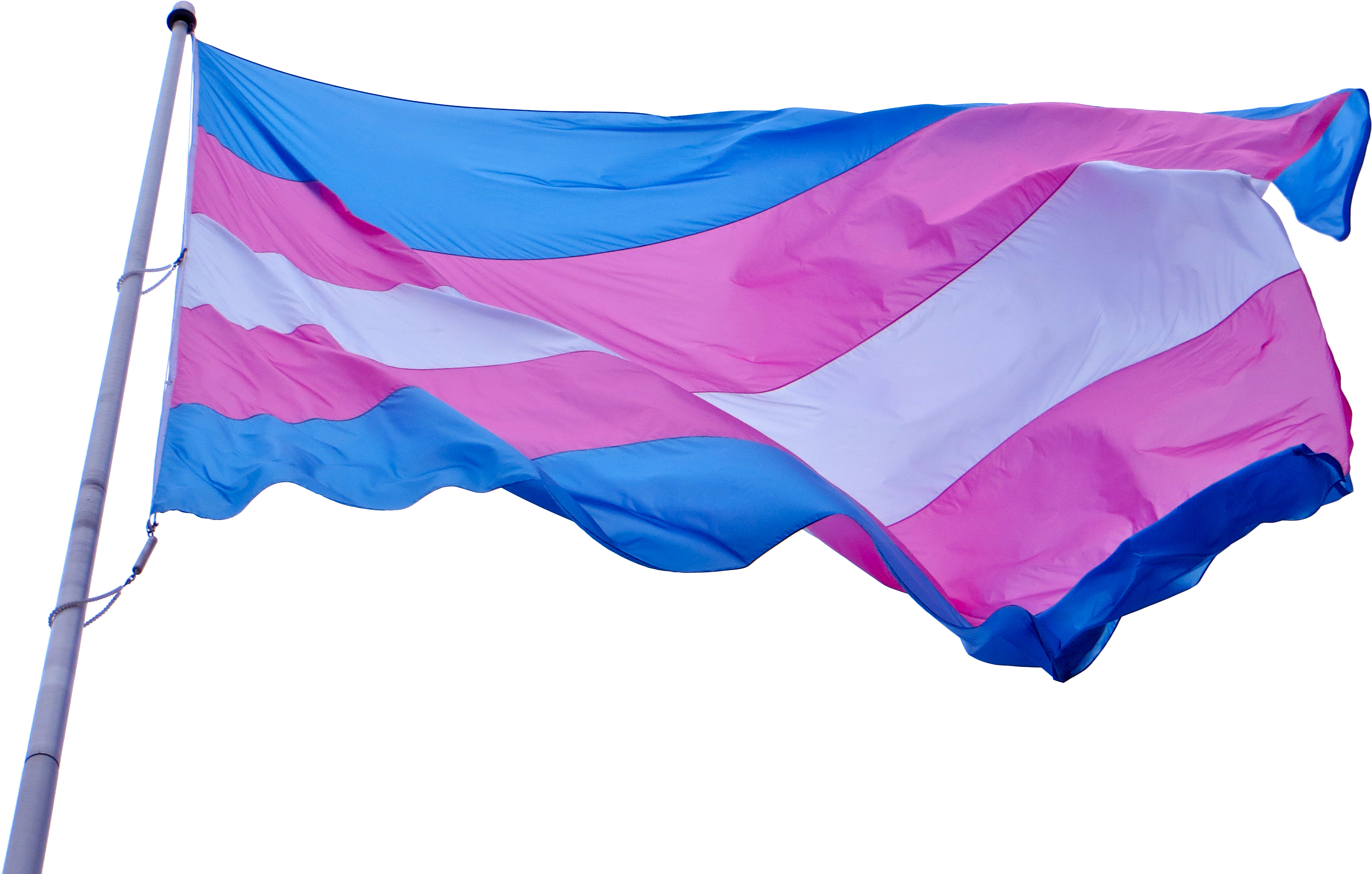 Npp National Progress Party Flag 11 - Trans Flag Waving Gif (4000x3000), Png Download