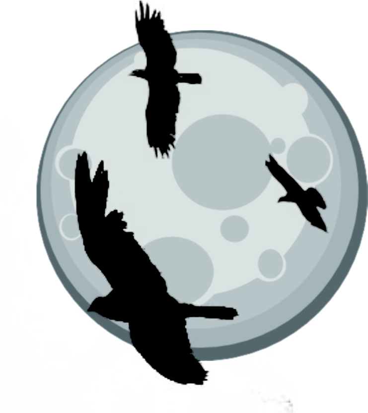 Score 50% - Portable Network Graphics (1000x1000), Png Download