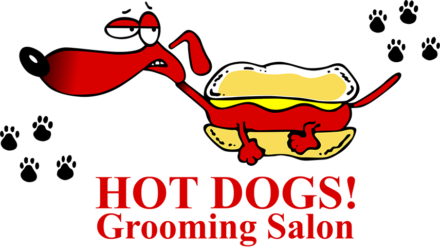 Hot Dog Grooming Salon (856x482), Png Download