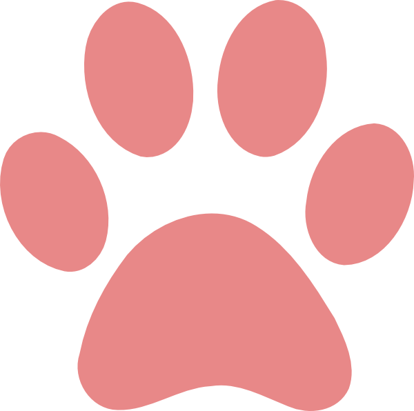 Orange Paw (600x596), Png Download