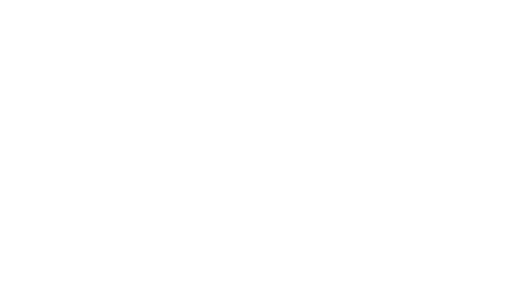 File White Paw Print Png Scruffy To Fluffy Grooming - White Paw Prints Png (500x289), Png Download