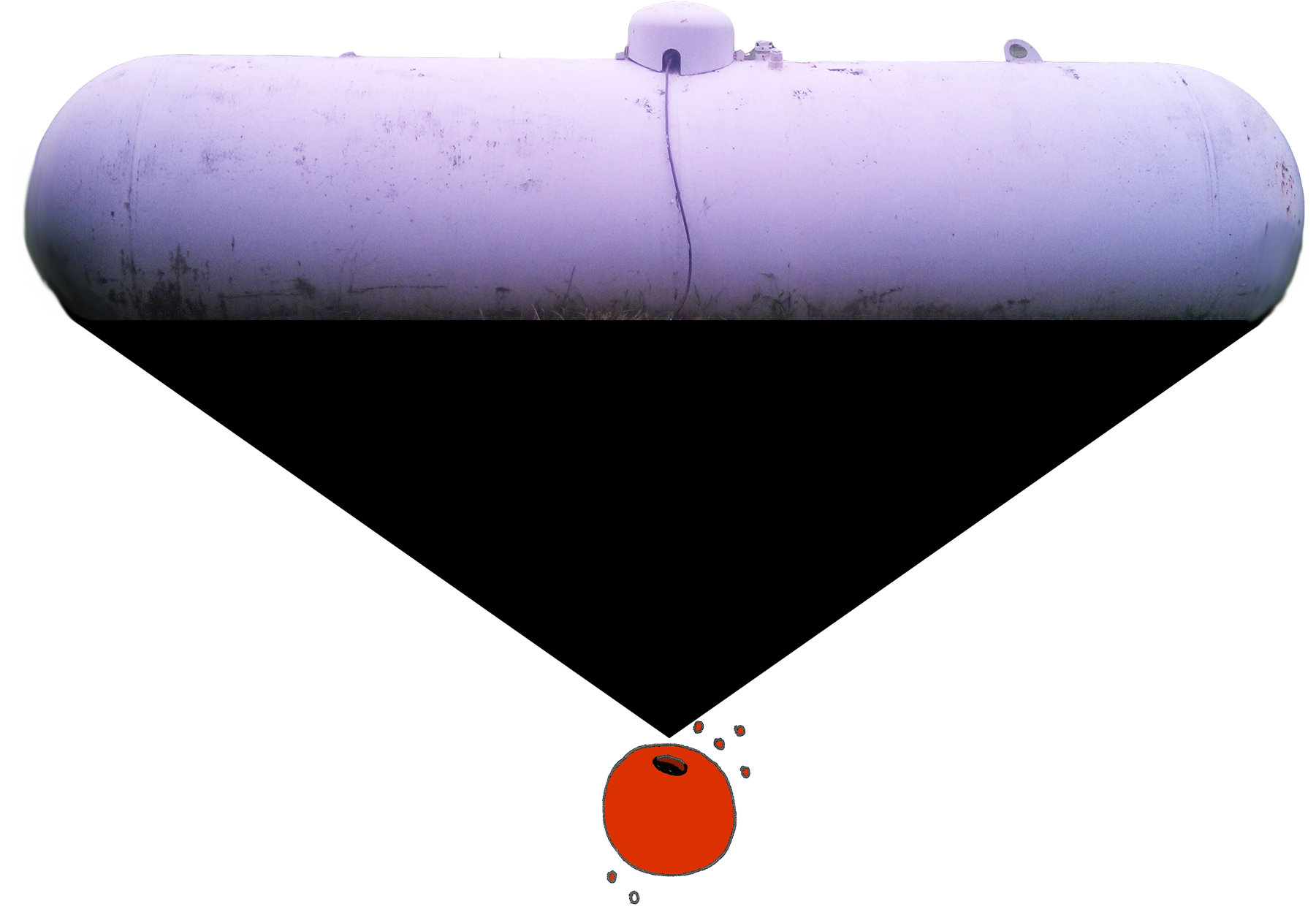 Embarrassed Of The Whole - Illustration (1800x1284), Png Download