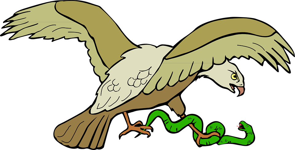 Eagle With Snake Svg Clip Arts 600 X 307 Px (600x307), Png Download