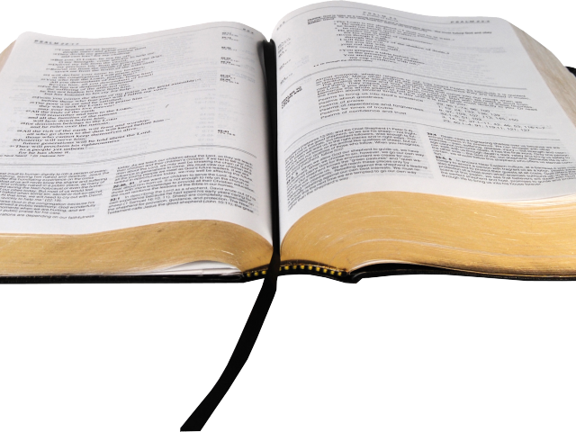 Bible Clipart Transparent Background - You're In God's Plan: And Designed (640x480), Png Download