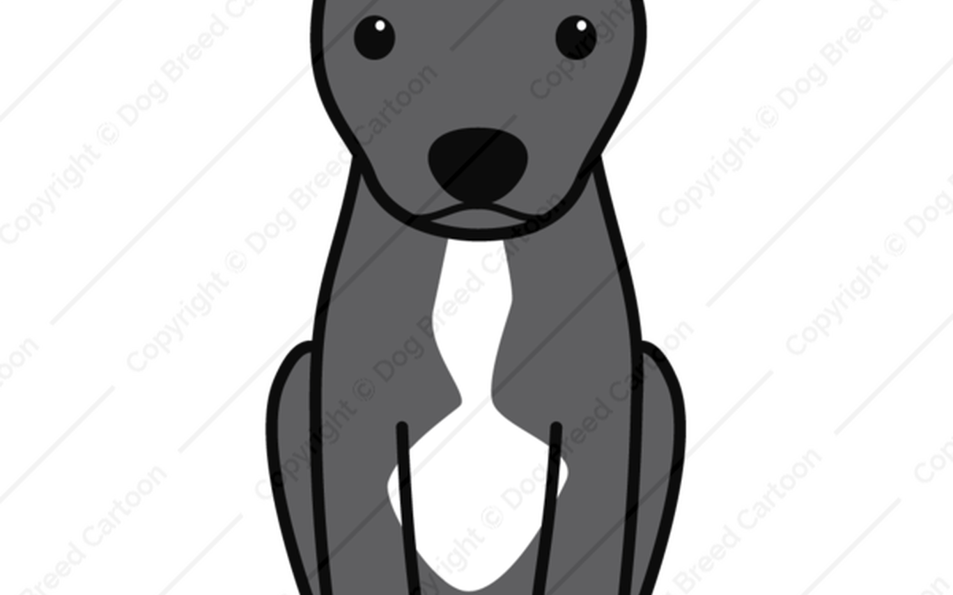 15 Pit Bull Terrier Png For Free Download On Mbtskoudsalg - Amerikanische Pitbull Terrier (natürliche Ohren) Grußkarte (1368x855), Png Download