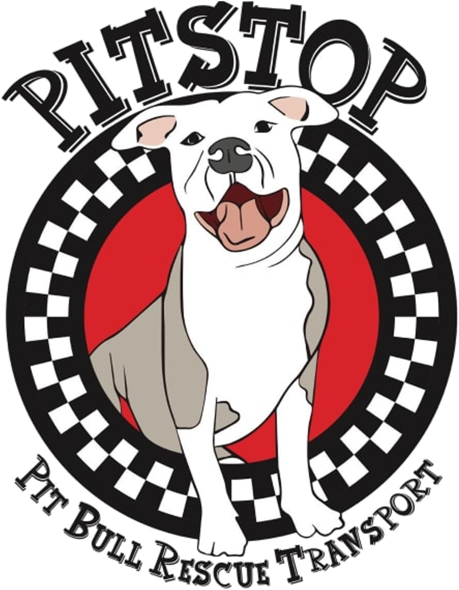 Spitfire X Vans Wheels (1200x1200), Png Download