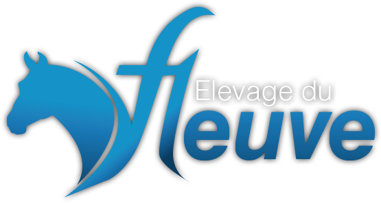 Norton De Vains - Norton Antivirus (555x296), Png Download