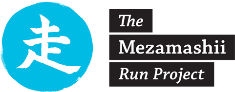 Shoe (600x234), Png Download