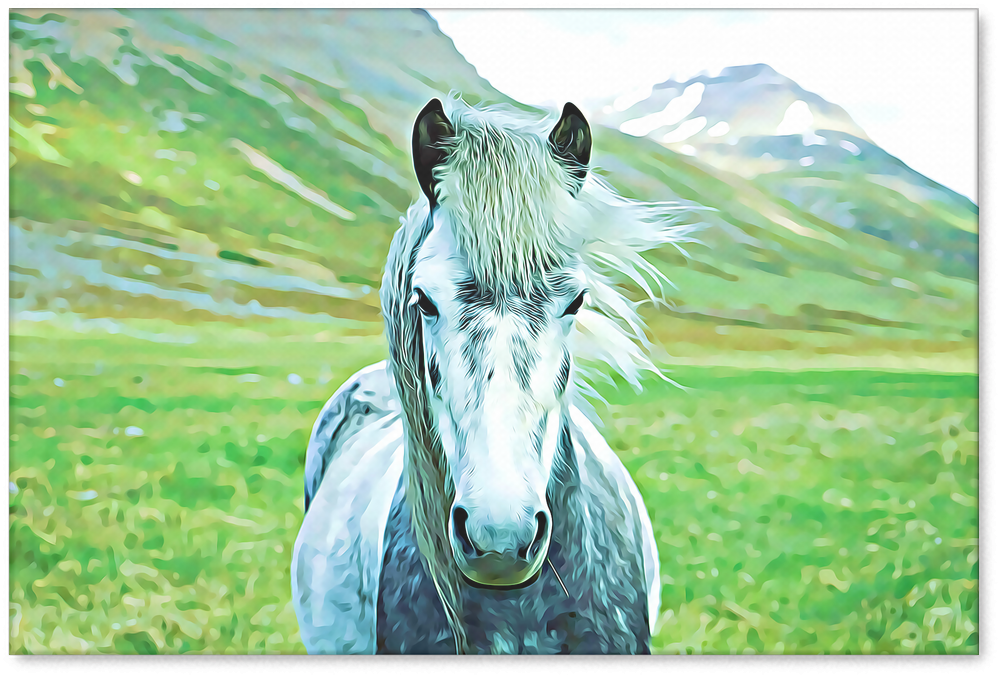 Wild Horse Portrait Canvas Painting - Horse Print (1024x1024), Png Download