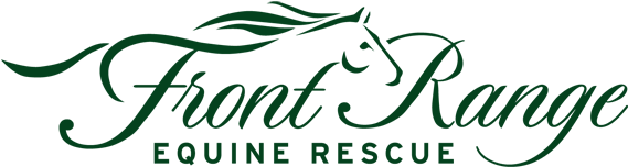 Front Range Equine Rescue Homepage - Front Range Equine Rescue (600x200), Png Download