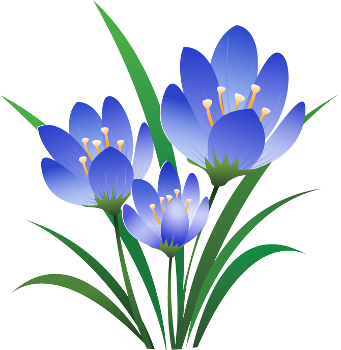 Crocus75 - Eid Ul Fitr 2018 Quotes (670x687), Png Download