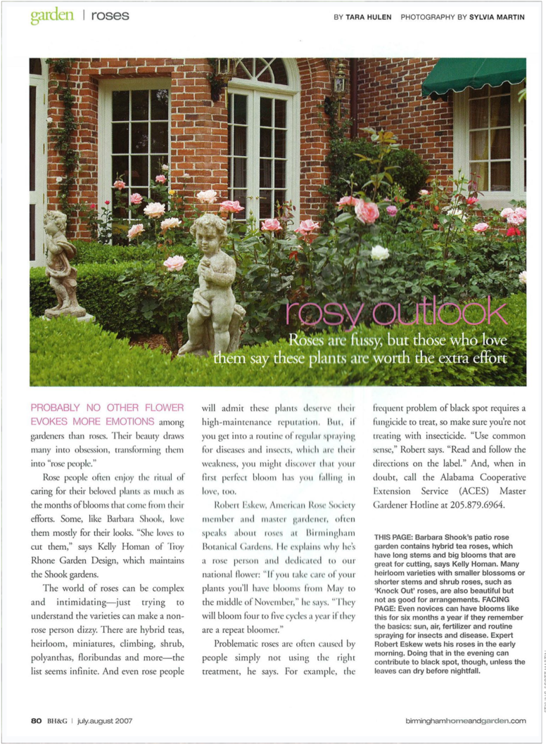 "rosy Outlook" Birmingham Home & Garden English Rose - Yard (2000x1200), Png Download