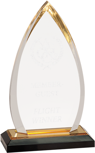 Acrylic Halo Award - Award (580x580), Png Download