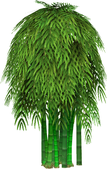 Low Bamboo - Grass (576x576), Png Download