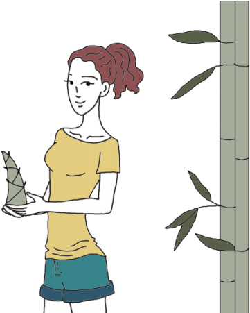 Isolated Bamboo Plants - Illustration (450x450), Png Download