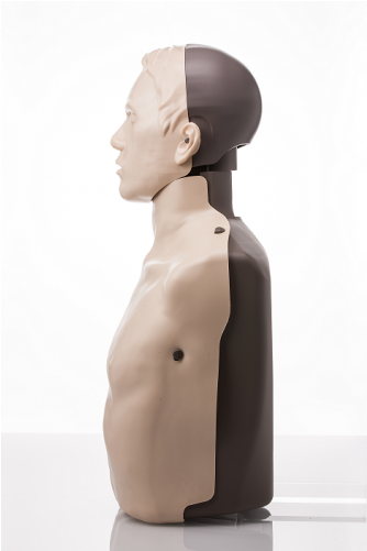 Description - Brayden Cpr Tranining Manikin (500x500), Png Download