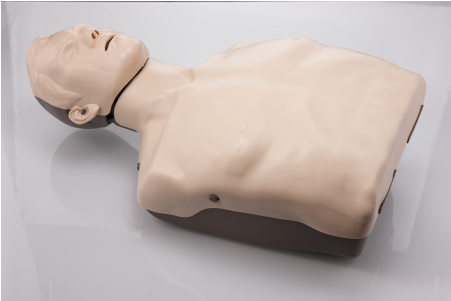 Brayden Cpr Manikin- Basic - Brayden Reanimatiepop Met Rode Ledverlichting (500x500), Png Download