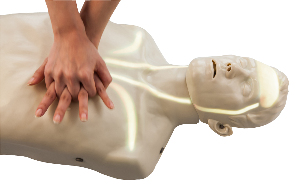 Amoul Man Cpr Training Manikin - Cpr Training Manikin ราคา (978x652), Png Download
