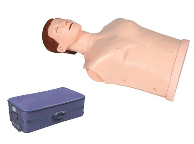 Half-body Cpr Manikin - Cpr Body (800x800), Png Download