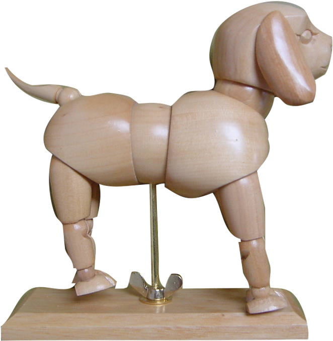 Dog-manikin - Poodle (695x694), Png Download