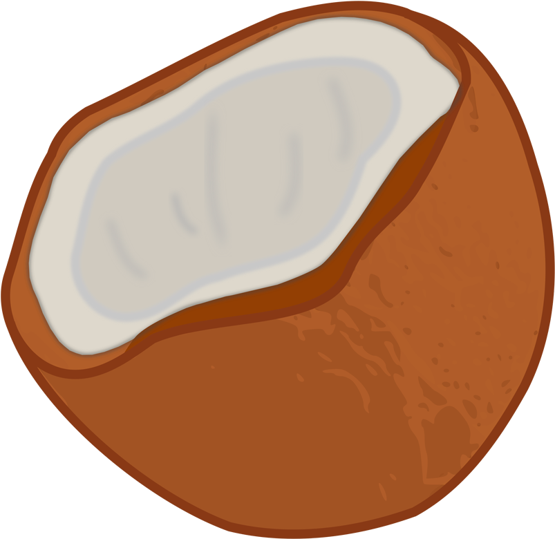 Clipart Coconut Palm Tree Clipart Of Coconut - Coconut (1280x800), Png Download