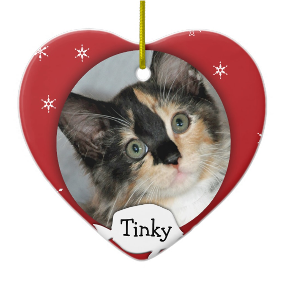 Calico Shelter Kitten Greeting Card (608x608), Png Download