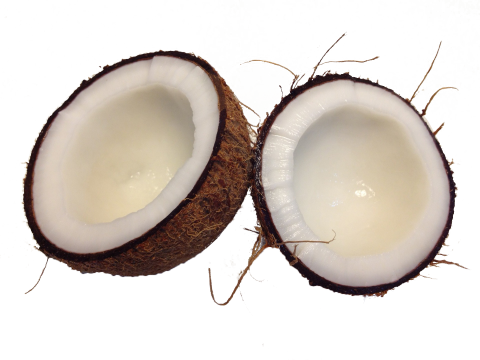Brown Cocunut Png Image Purepng Free Transparent Cc0 - Coconut Aesthetics (480x360), Png Download